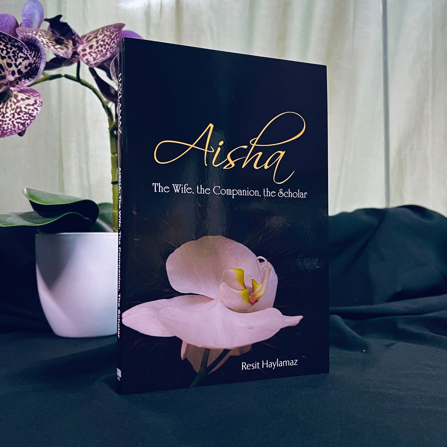 Aisha: Wife, Companion, Scholar