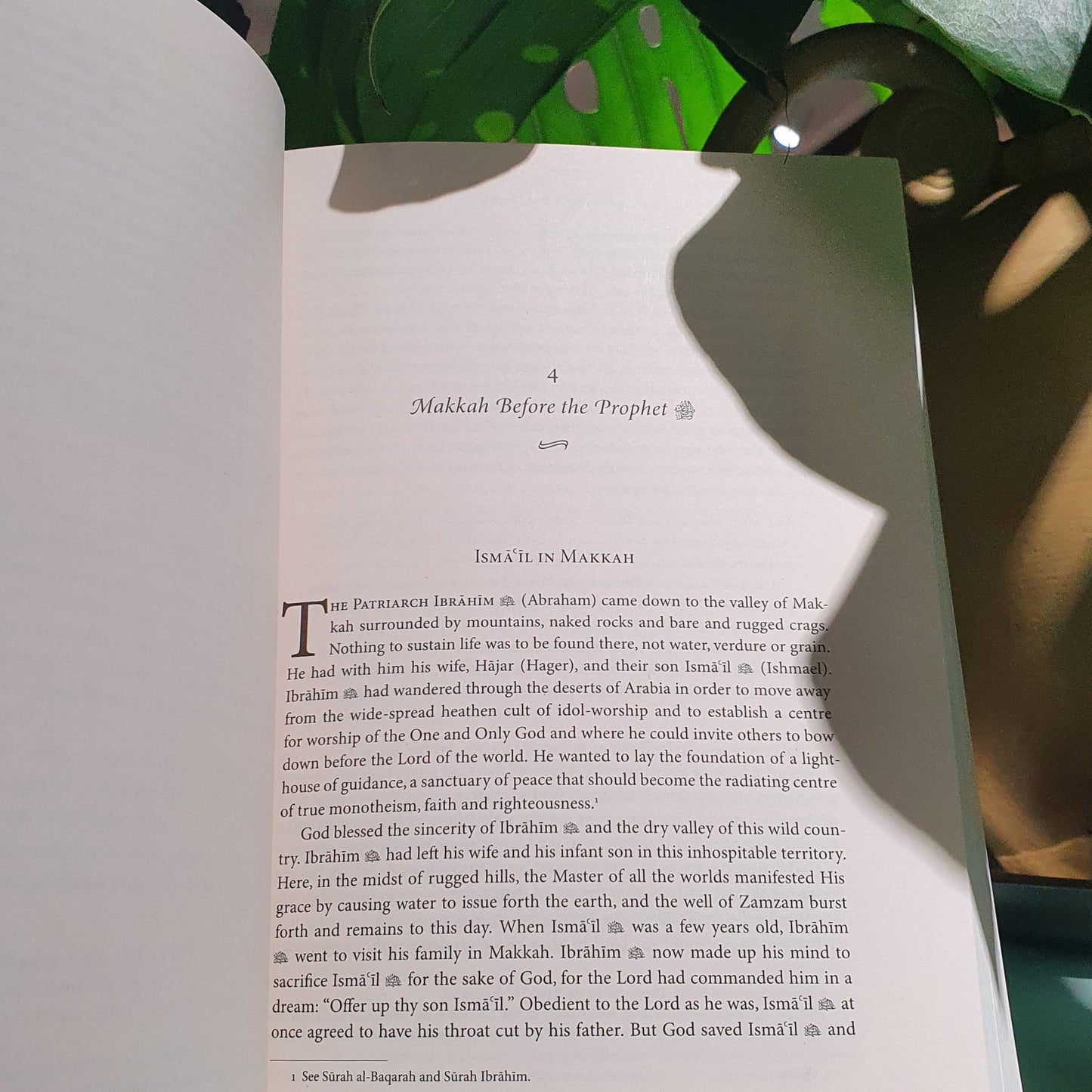 Prophet of Mercy (Nabiyy-i-Rahmat)