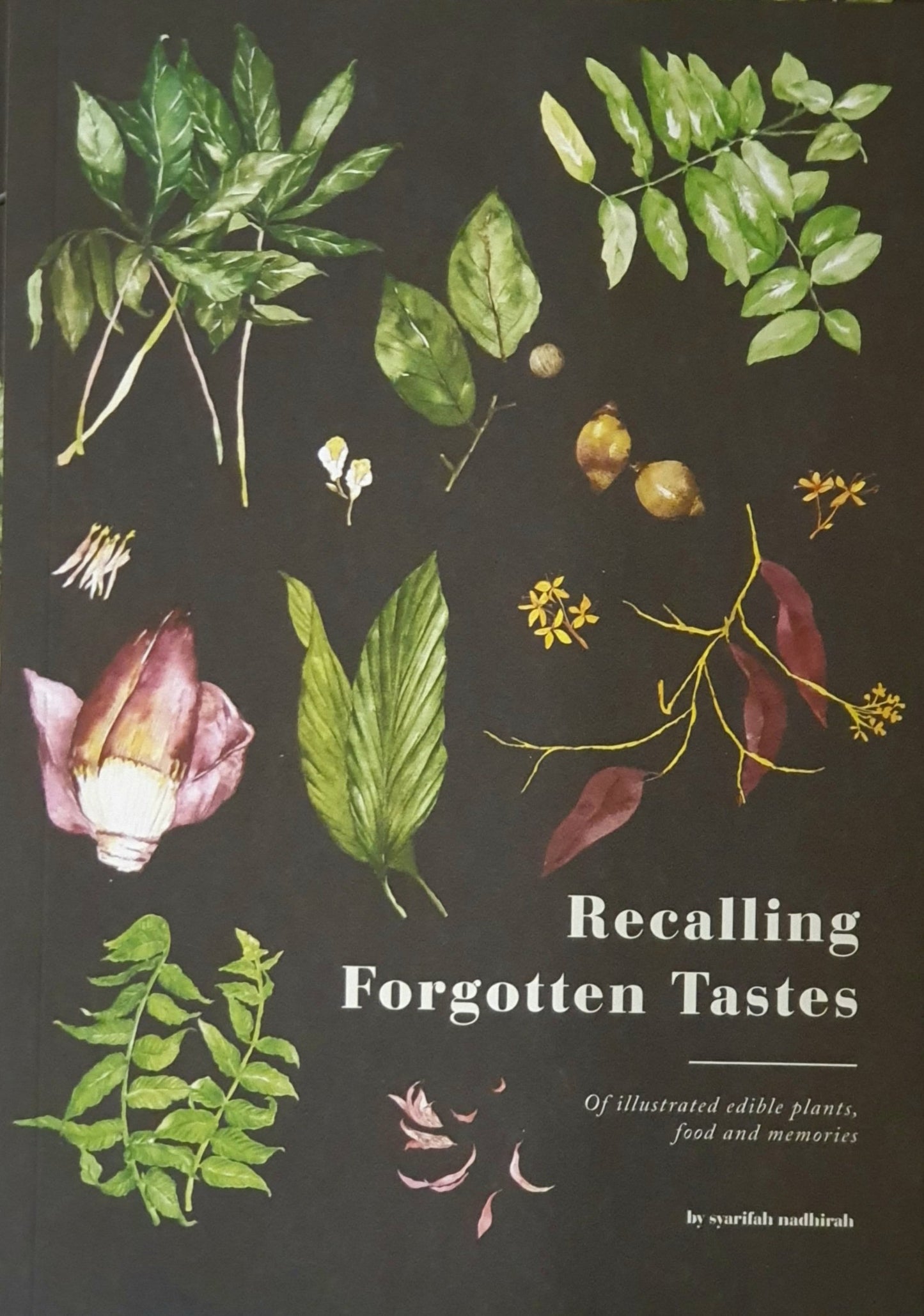 Recalling Forgotten Tastes : Of Illustrated Edible Plants, Food and Memories