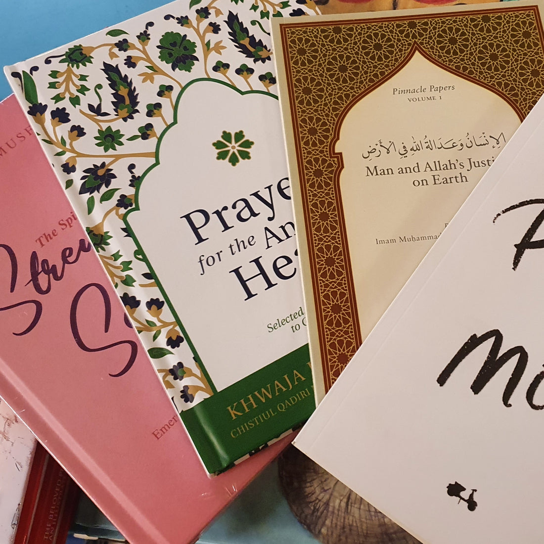 📚 Peace Meal - November 2021 Books Restocked and New Arrivals 📚
