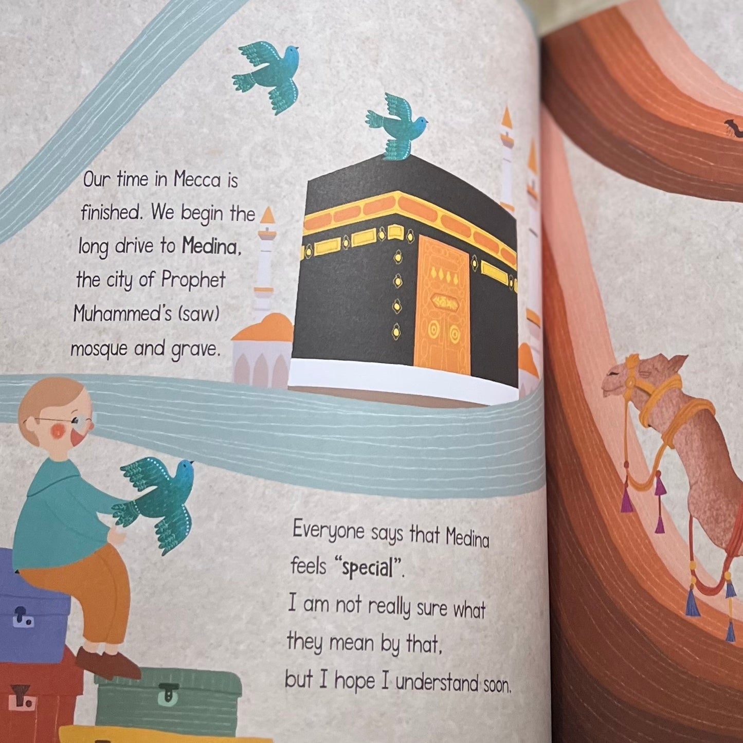 A Sensational Journey: Medina Book