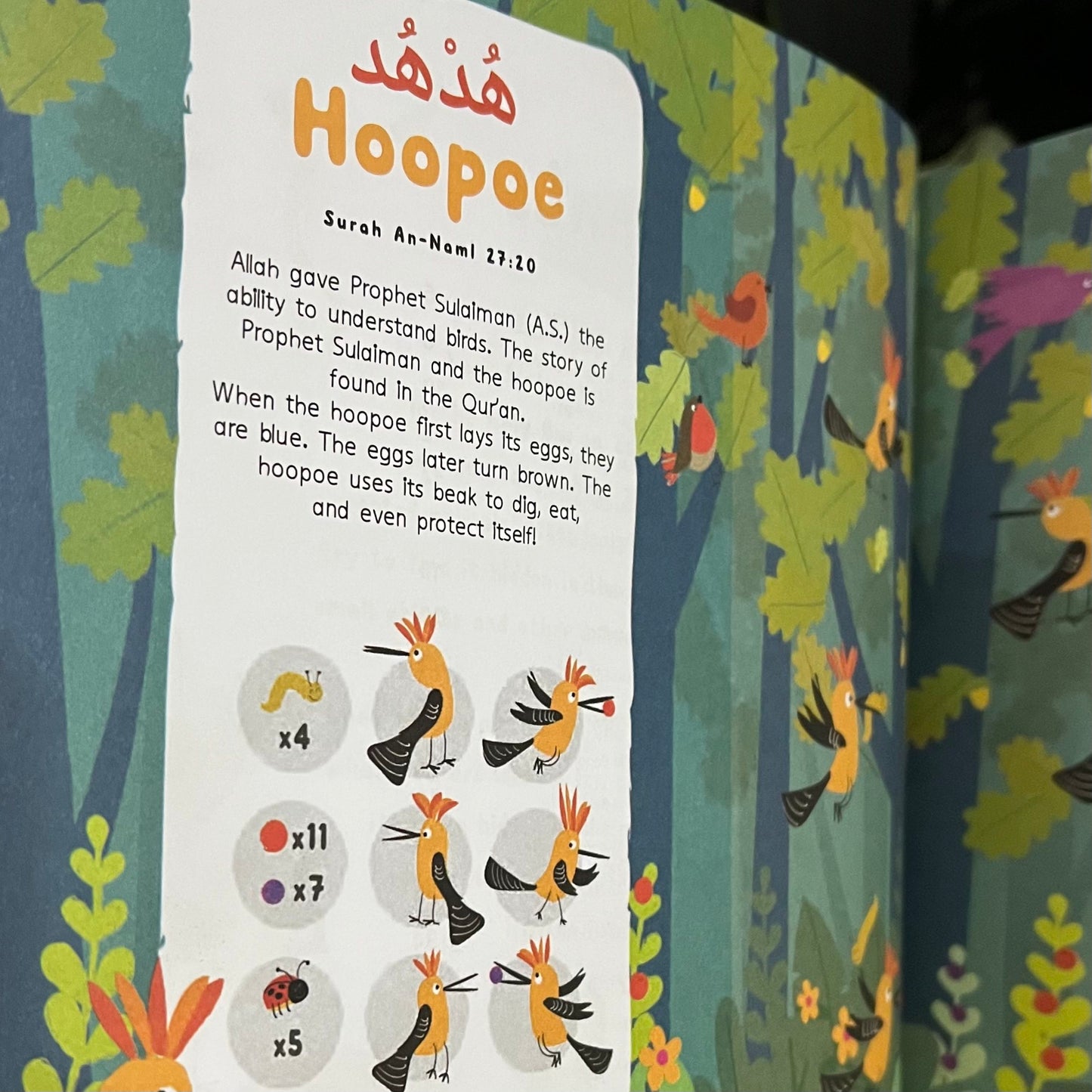 Animals in the Quran: Search and Find Book