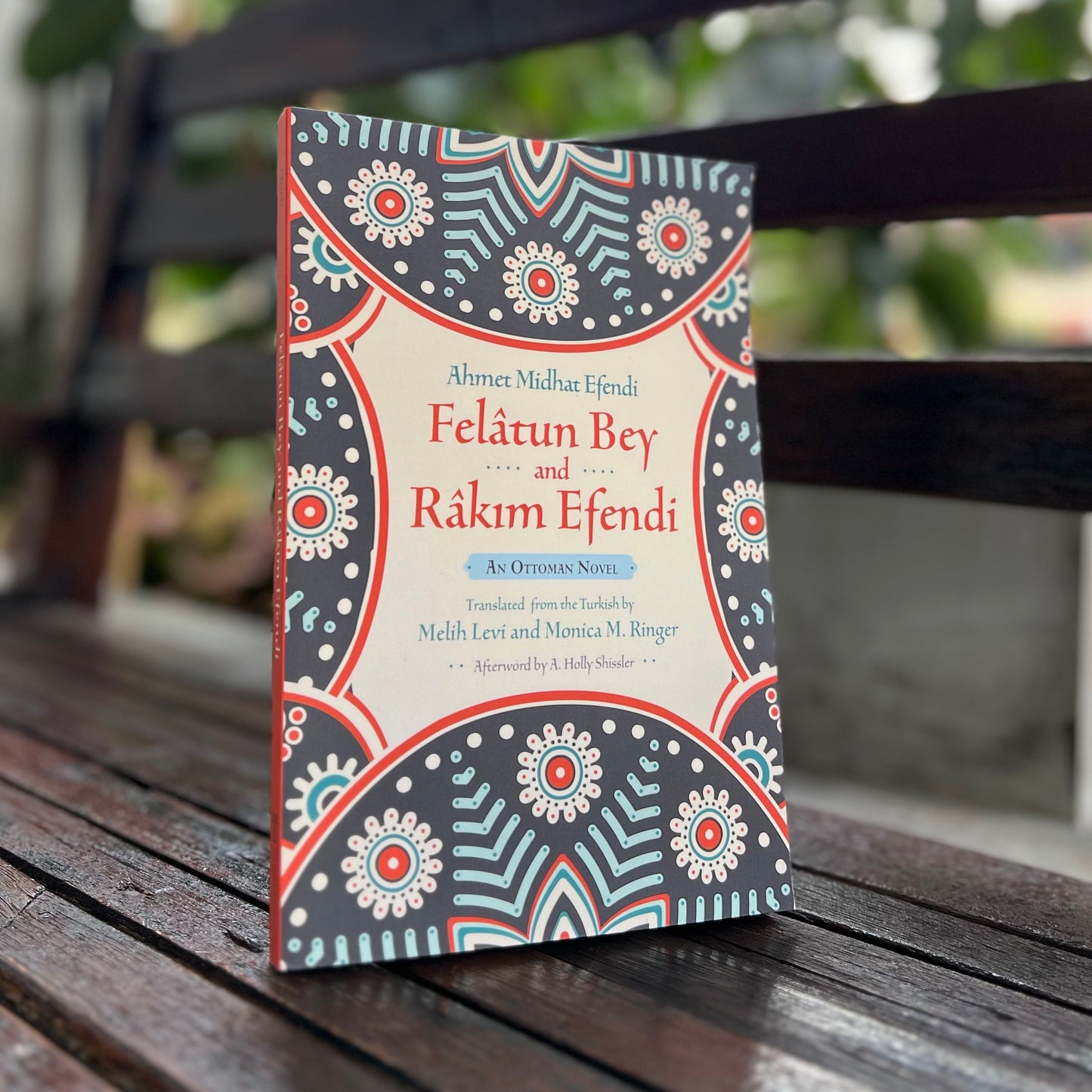 Felatun Bey and Rakim Efendi: An Ottoman Novel