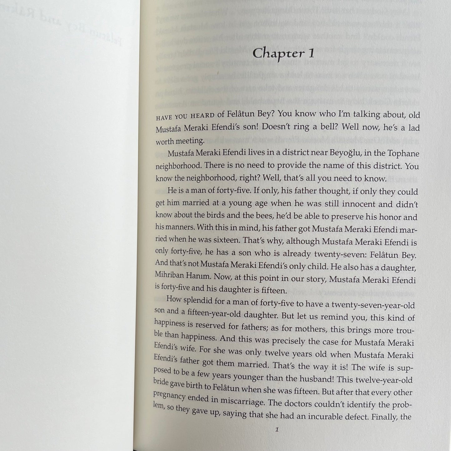 Felatun Bey and Rakim Efendi: An Ottoman Novel