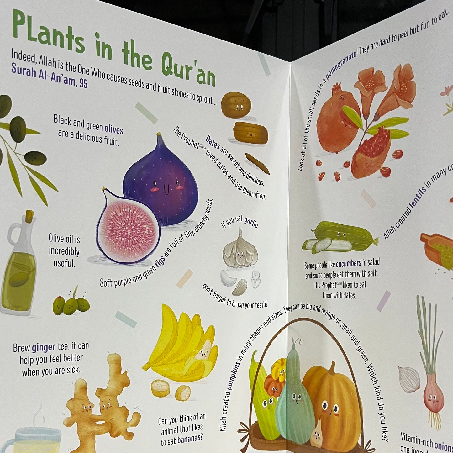 First Words From the Quran - Children's Islamic Board Book