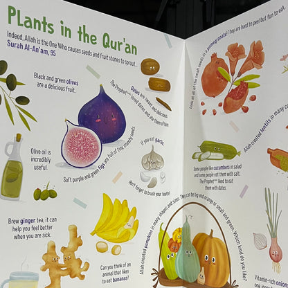 First Words From the Quran - Children's Islamic Board Book