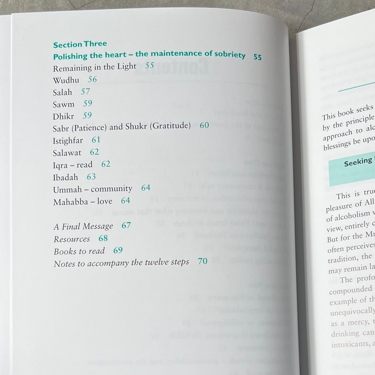 Hope for the Muslim Alcoholic - Twelve Step Recovery in the Light of Islam