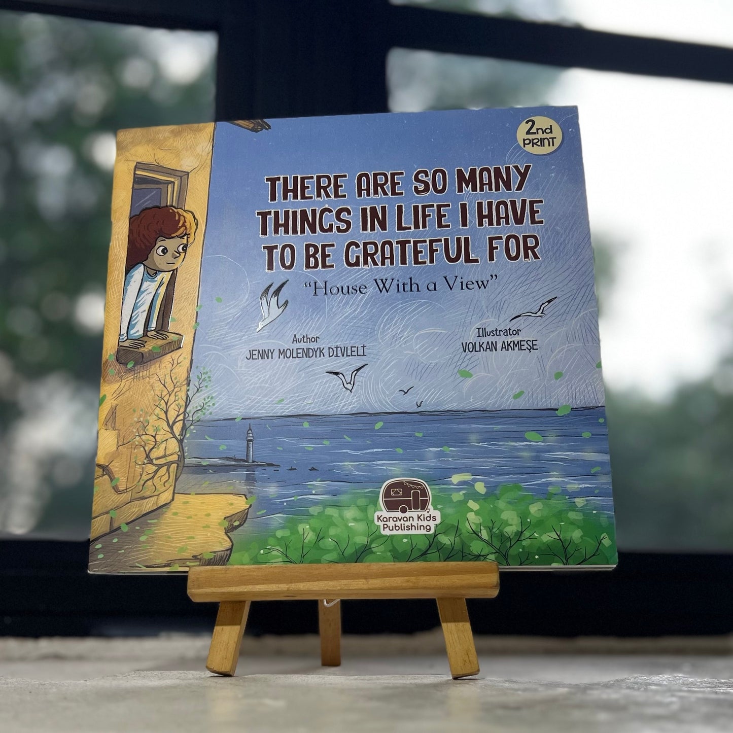 House with a View - Childrens Book