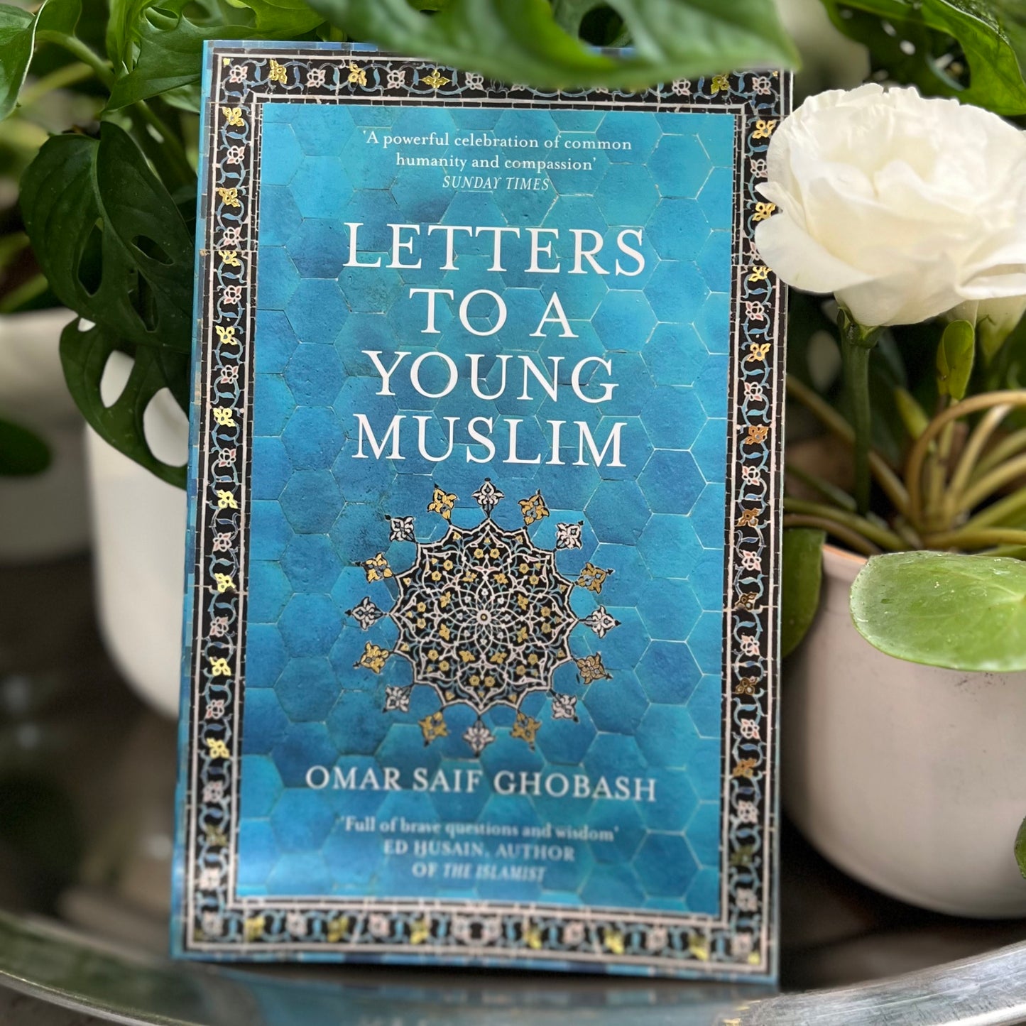 Letters to a Young Muslim