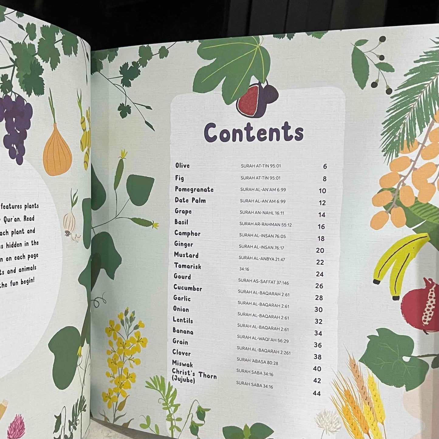 Plants in the Quran: Search and Find Book