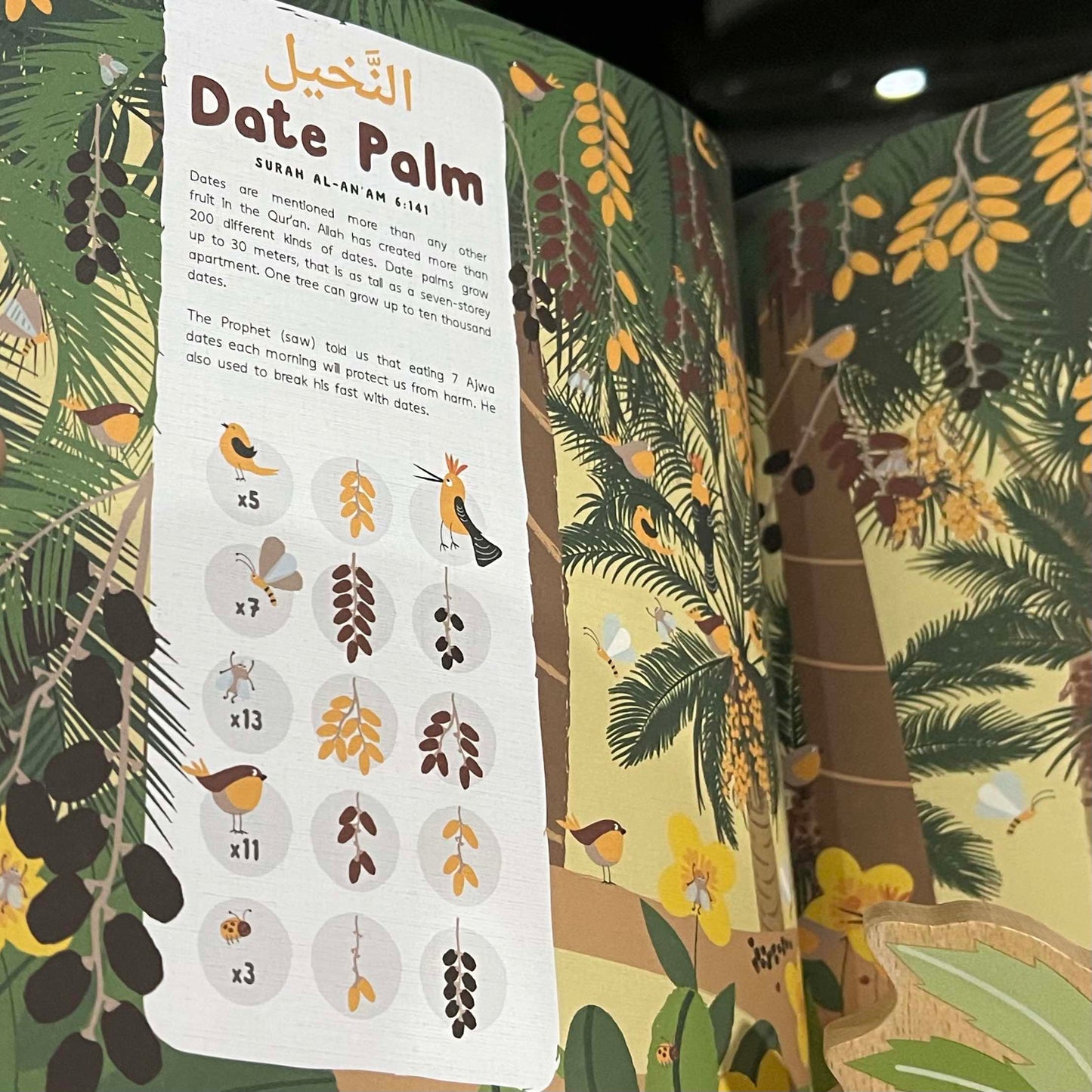 Plants in the Quran: Search and Find Book