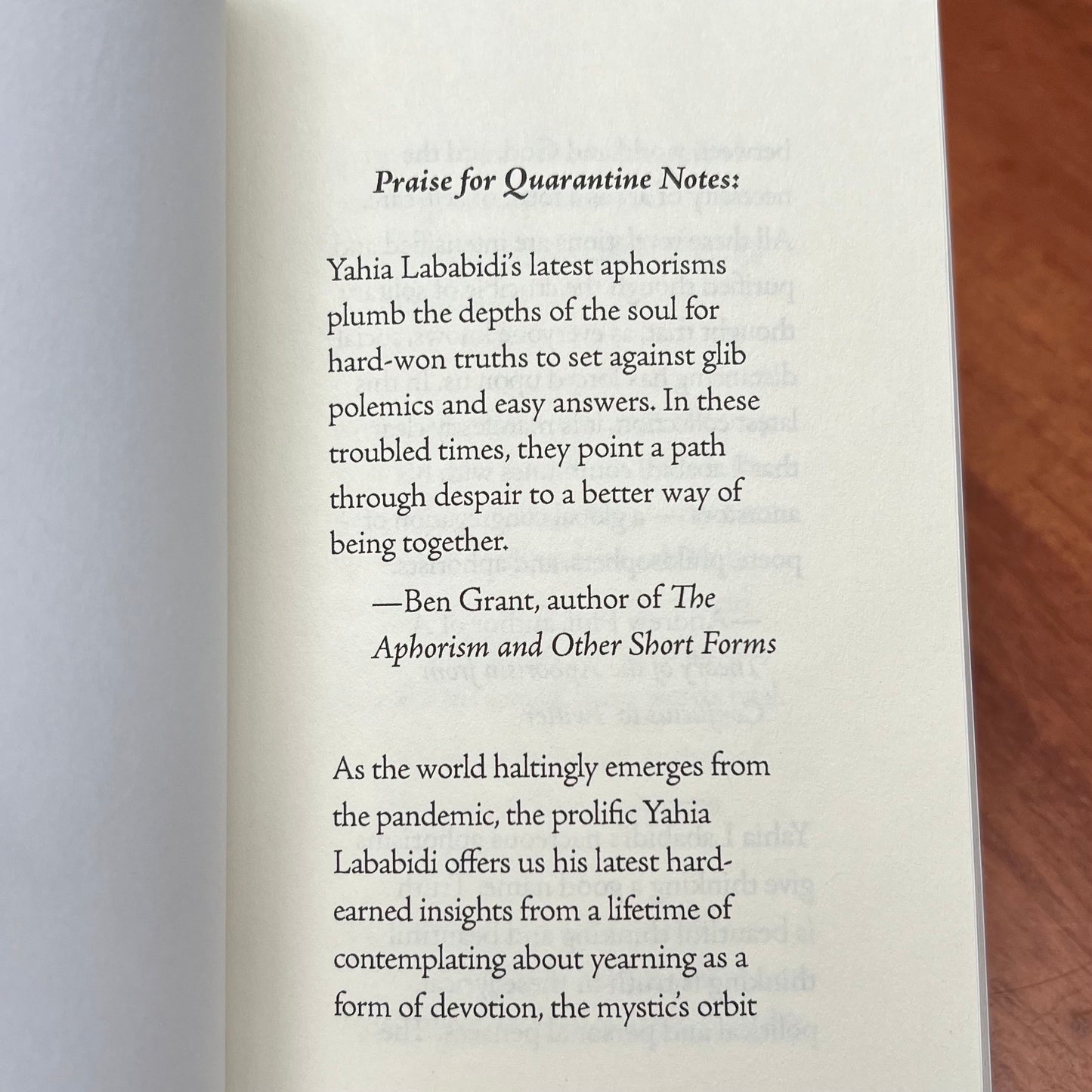 Quarantine Notes: Aphorisms on Morality and Mortality