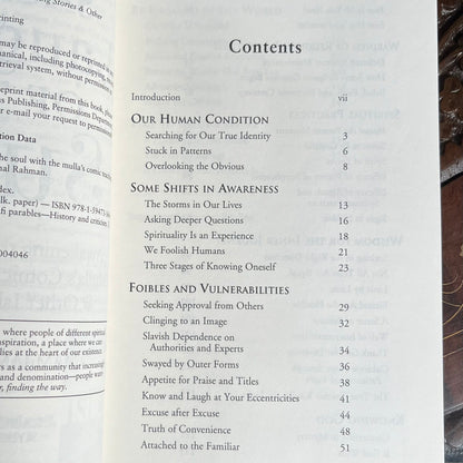 Sacred Laughter of The Sufis