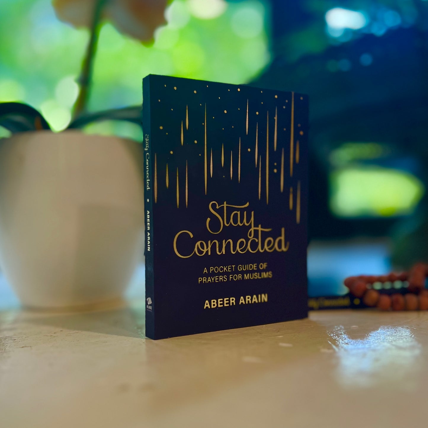 Stay Connected (PB)