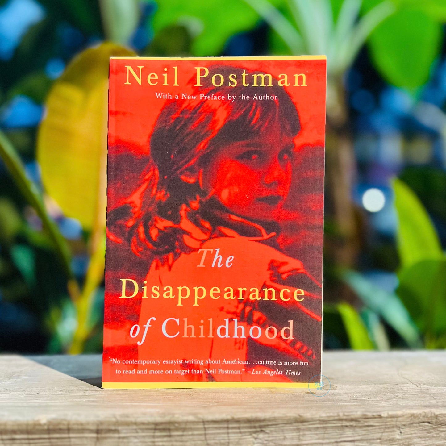 The Disappearance of Childhood