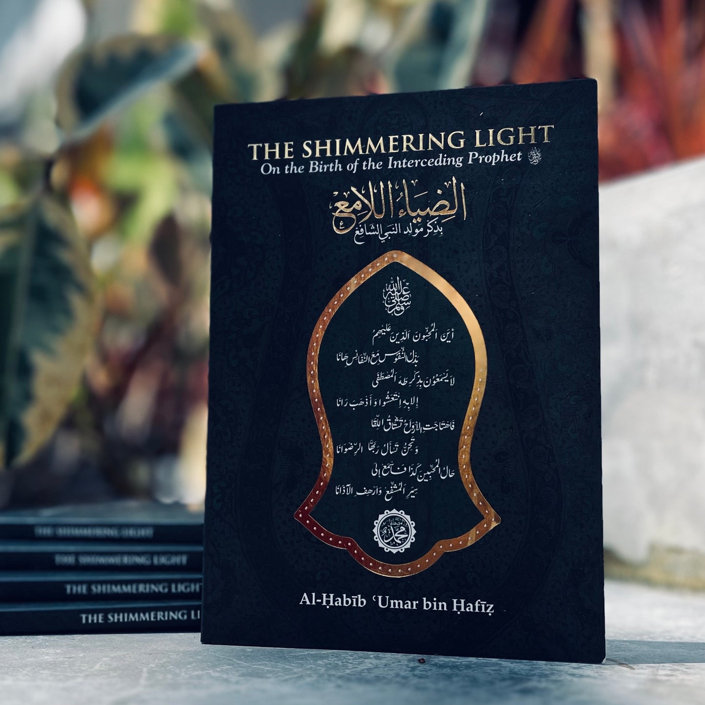 The Shimmering Light - Dhiya ul Lamiq